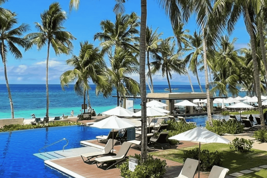 plam tress, lounges in front of the infinity pool under the palm tress with a view of the beach