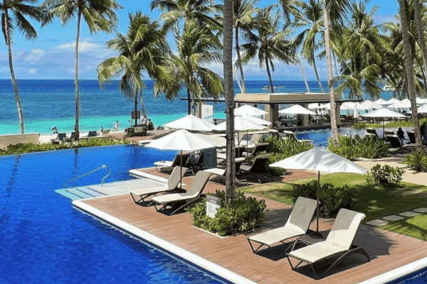 beach lounges under the palm trees beside the pool with the view of the ocean