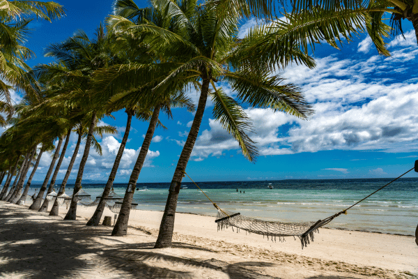 white sand beach with palm trees under clear blue sky