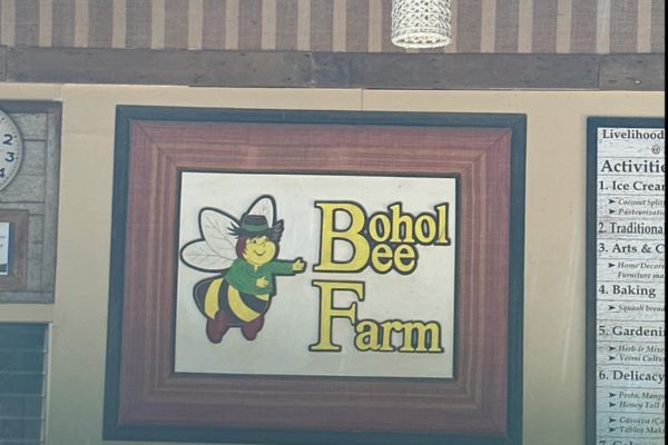 company logo with an image of a bee on the left and the name Bohol Bee Farm on the right