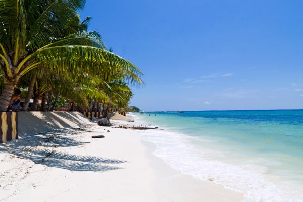 white sand beach wite the view of turquioise ocean under the blue sky with some palm trees on the sand