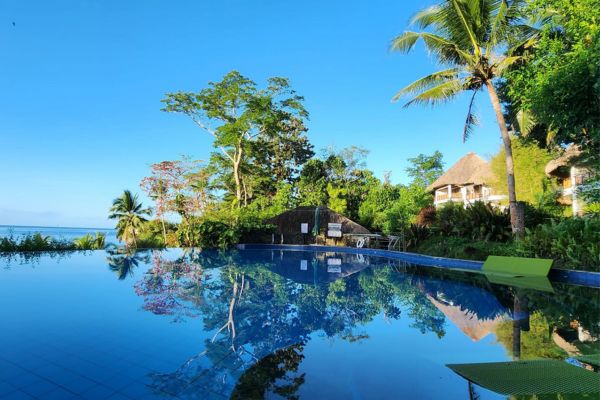 deep blue infinity pool reflecting the surrounding palm trees and the blue sky