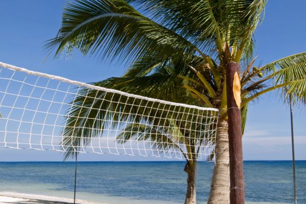 volleyball net hanging by a palm tree on one end on the beach with the view of the blue ocean