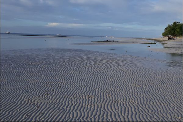a beach with wave patterns on the wet sand on a gloomy day