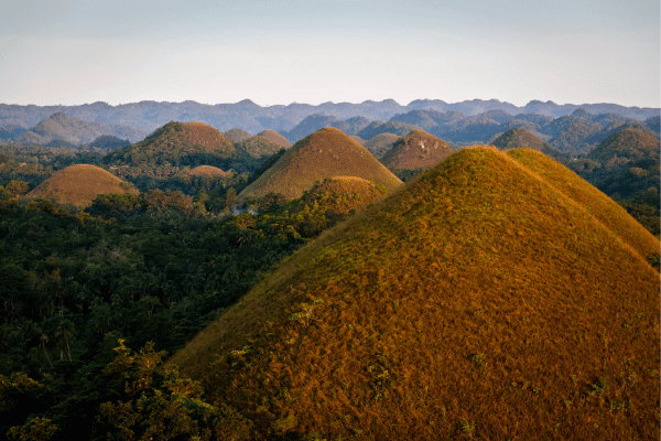 multiple hills with chocolate color under the afternoon sky. the famous chocolate hills in bohol