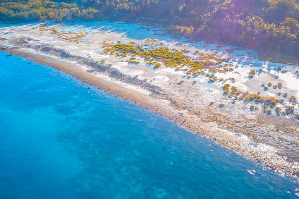 an aerial view of a beach showing the white sandbar meeting with the blue ocean. hundreds of trees on the long stretch of the beach