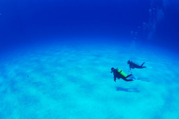 two people scuba diving, swimming side by side near the ocean floor