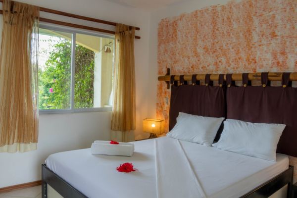 a hotel room with a queen size bed in white sheet with a red rose at the center. white walls and a glass window with an open brown curtain showing some trees outside of the room