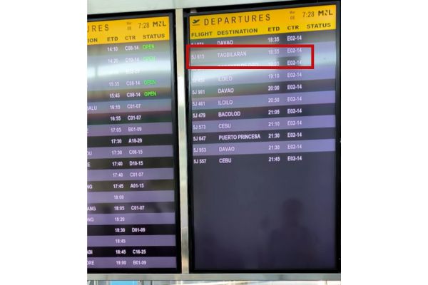 flight dashboard with tagbilaran flight details highlighted in red box