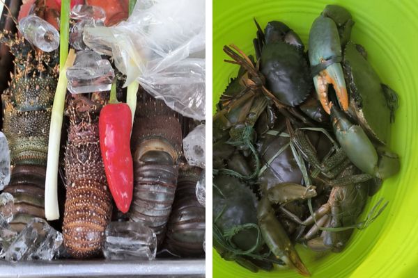 huge lobsters on the left and some live crabs in a container on the right