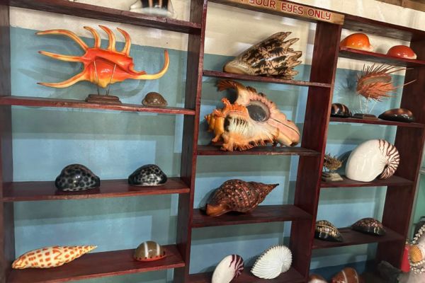 a 4 tier shelf with different kind of shells