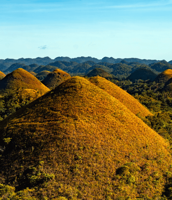 chocolate hills under the blue sky
